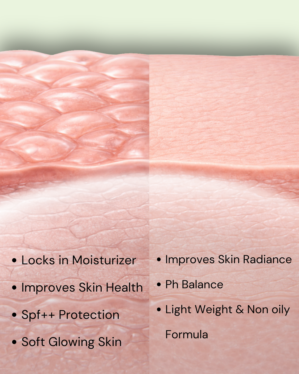 Ultra Moisturising Potion SPF++